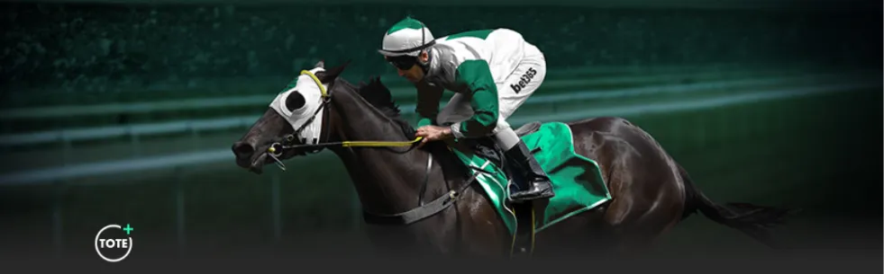 申花与国安,赛后球迷冲,突加剧,中国体彩,中国竞猜官网,中国体育竞猜平台,中国足球竞彩网